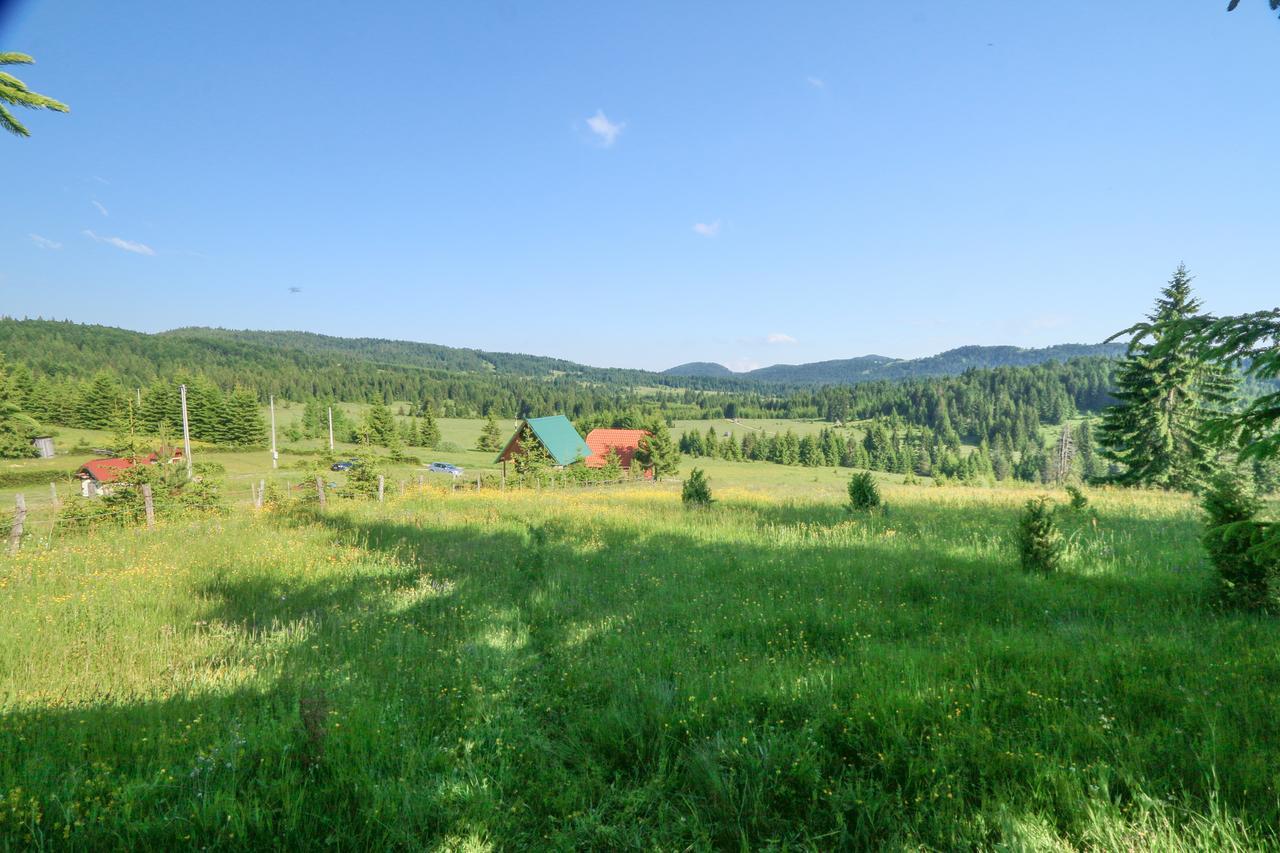 Vile Stefan Zaovine Buitenkant foto